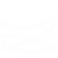 The Nest Climbing logo