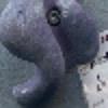 Hold preview