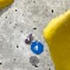 Hold preview