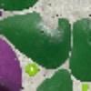 Hold preview