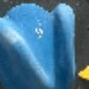 Hold preview
