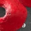 Hold preview