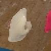 Hold preview