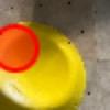 Hold preview