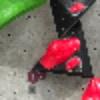 Hold preview
