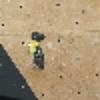 Hold preview
