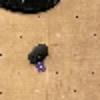 Hold preview