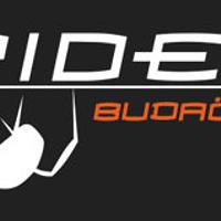 Spider Club Budaörs logo