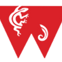 Wilmington Rock Gym logo