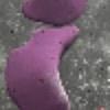 Hold preview