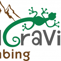 Ungravity Rock Wall LTD logo