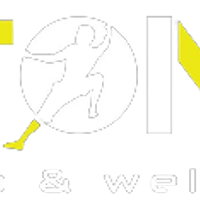 Stone Temple logo