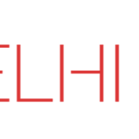 Delhi Rock logo