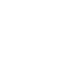 פרפורמנס רוק מודיעין - קיר טיפוס - Performance Rock logo