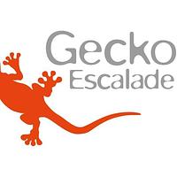 Gecko climbing - Jorat-Menthue logo